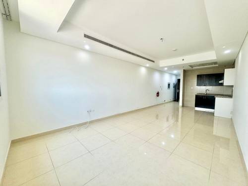 Studio Apartment photo 5