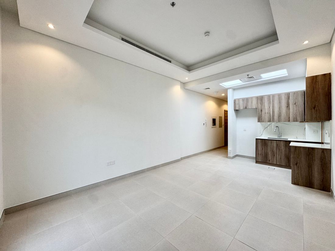 Studio Apartment photo 2